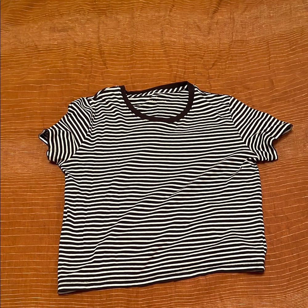 Everlane cropped tee shirt perfect length